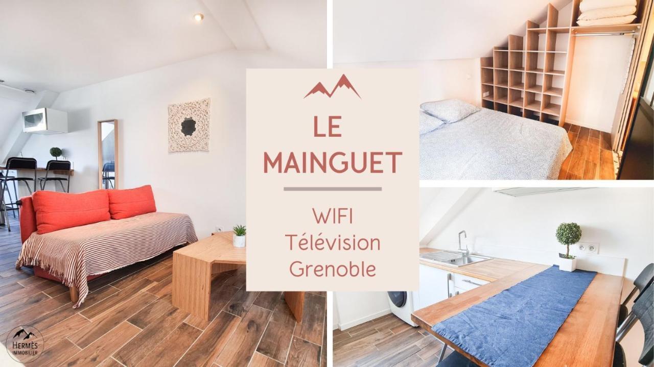 Le Mainguet - Appartement Cosy - Grenoble Exteriör bild
